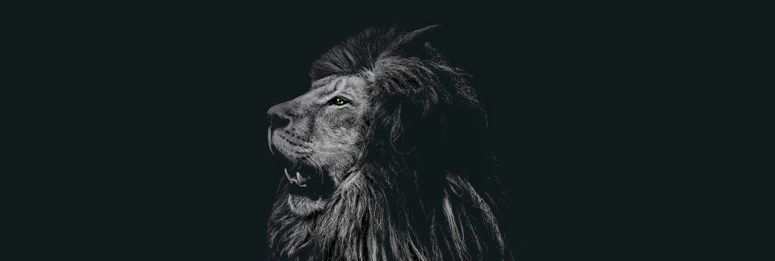 zzp'er <em>blijven</em>