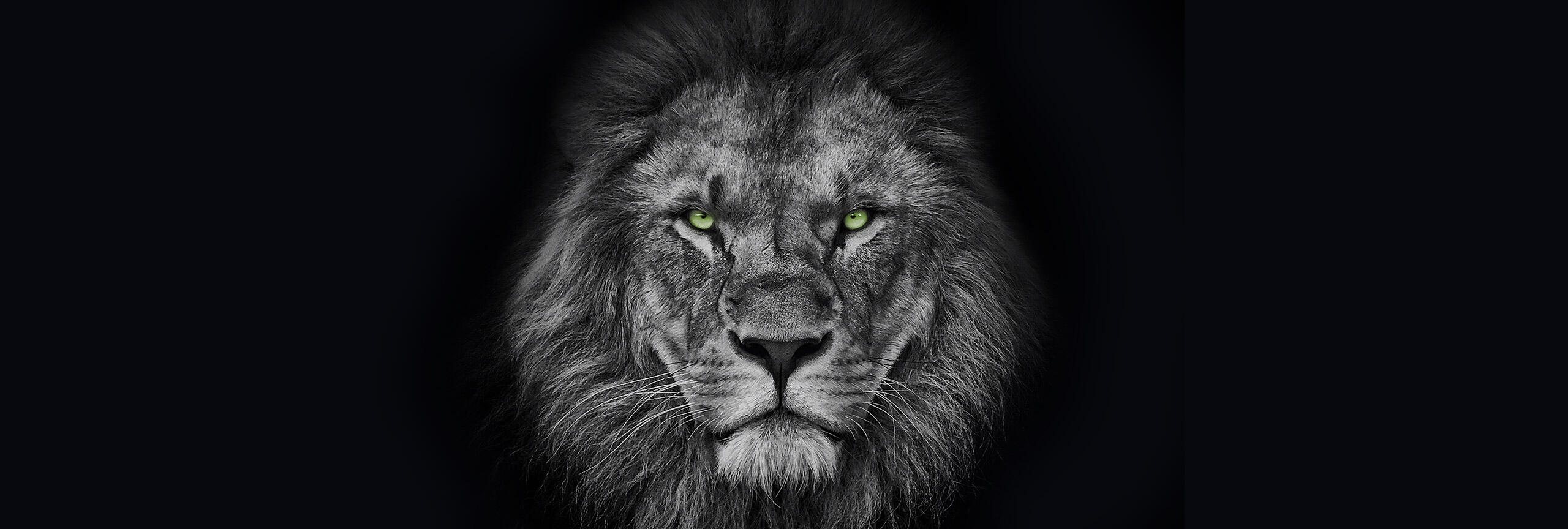 Bouw <em>ZZP opdrachten</em>